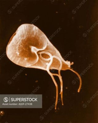  Giardia! A Microscopic Master of Intestinal Mayhem